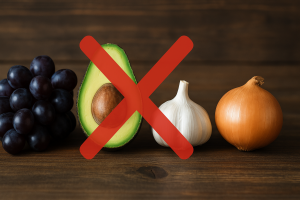 Raisins, avocat, ail et oignon posés sur une table avec une croix rouge